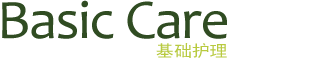 水份润唇膏(薄荷叶)